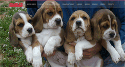 Desktop Screenshot of beaglesdepuigventos.com